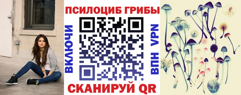 Купить закладки  Ливны  Галлюциногенные грибы прущие грибы 